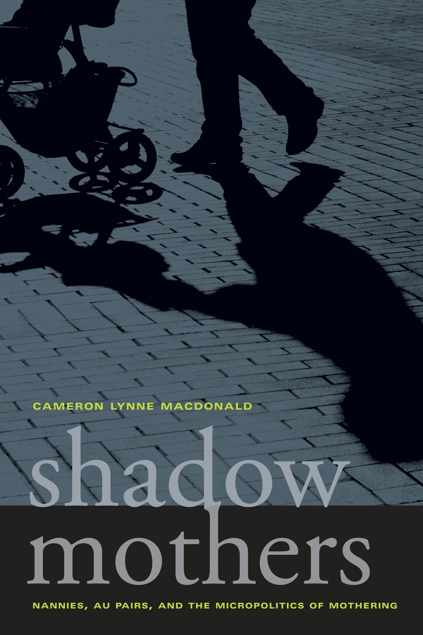 Book cover image for Shadow Mothers ISBN: 9780520947818