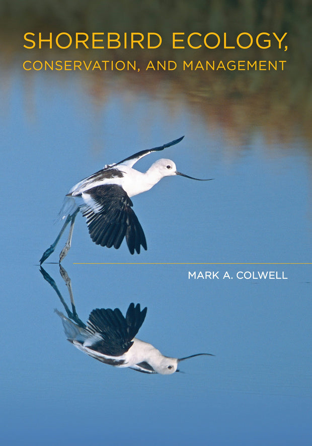 Cover image for Shorebird Ecology, Conservation, and Management, isbn: 9780520947962