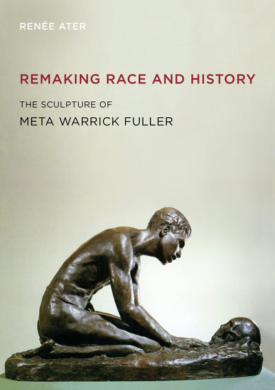 Cover image for Remaking Race and History, isbn: 9780520948471