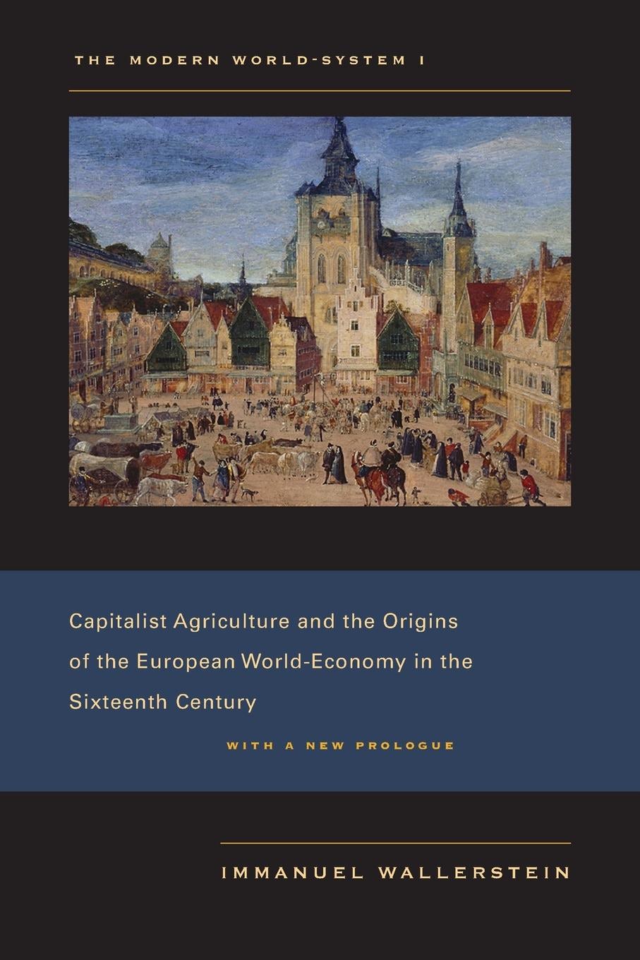 Book cover image for The Modern World-System I ISBN: 9780520948570