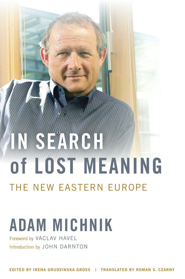 Cover image for In Search of Lost Meaning, isbn: 9780520949478