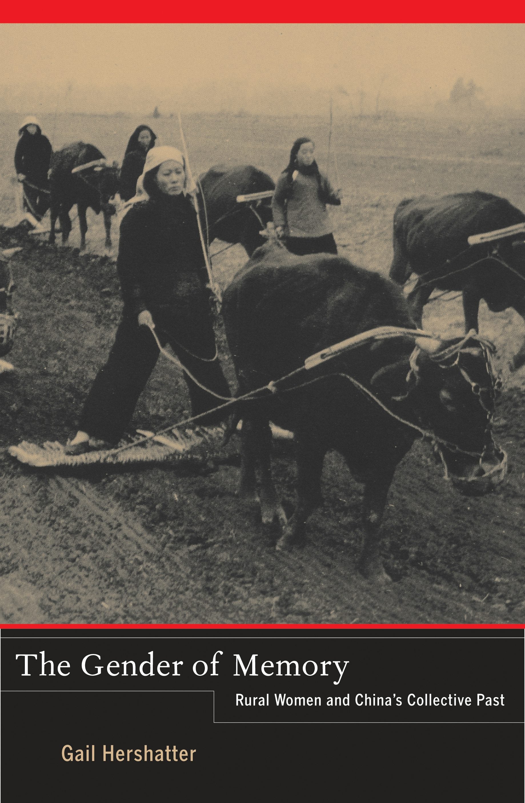 Book cover image for The Gender of Memory ISBN: 9780520950344