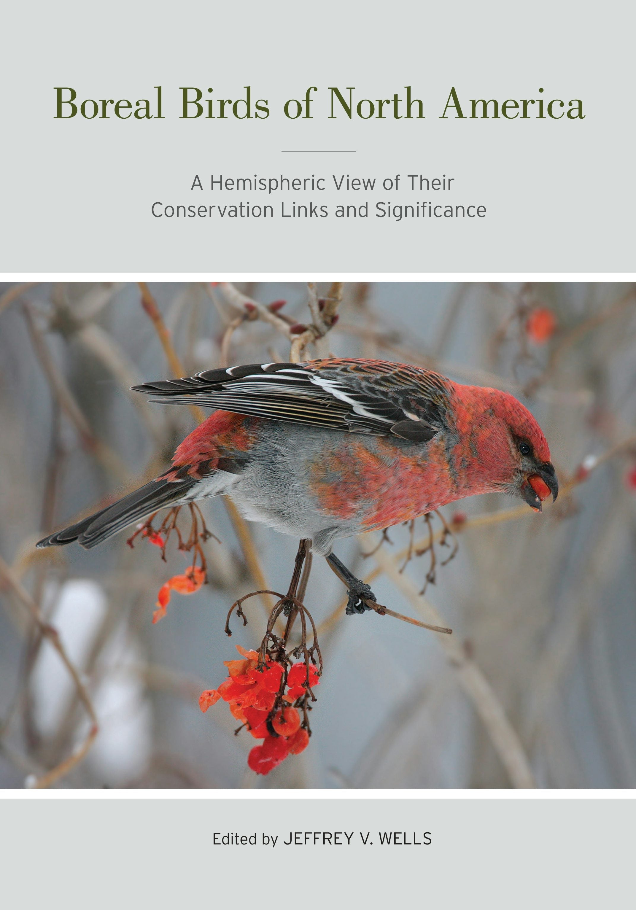 Book cover image for Boreal Birds of North America ISBN: 9780520950580