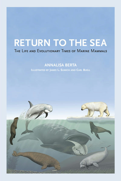 Cover image for Return to the Sea, isbn: 9780520951440