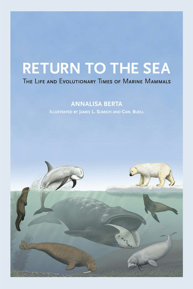 Cover image for Return to the Sea, isbn: 9780520951440