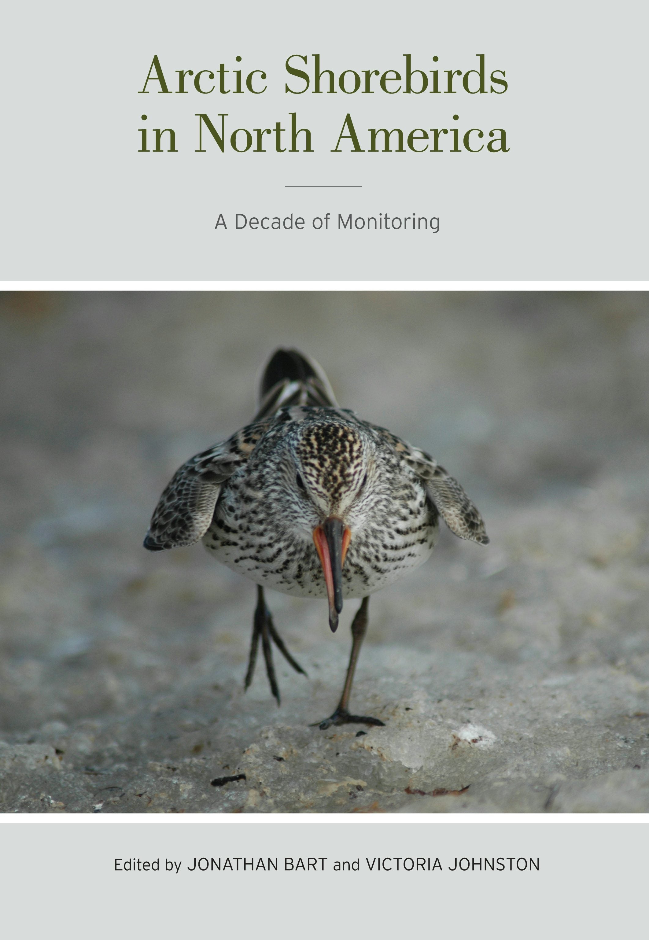 Book cover image for Arctic Shorebirds in North America ISBN: 9780520953499