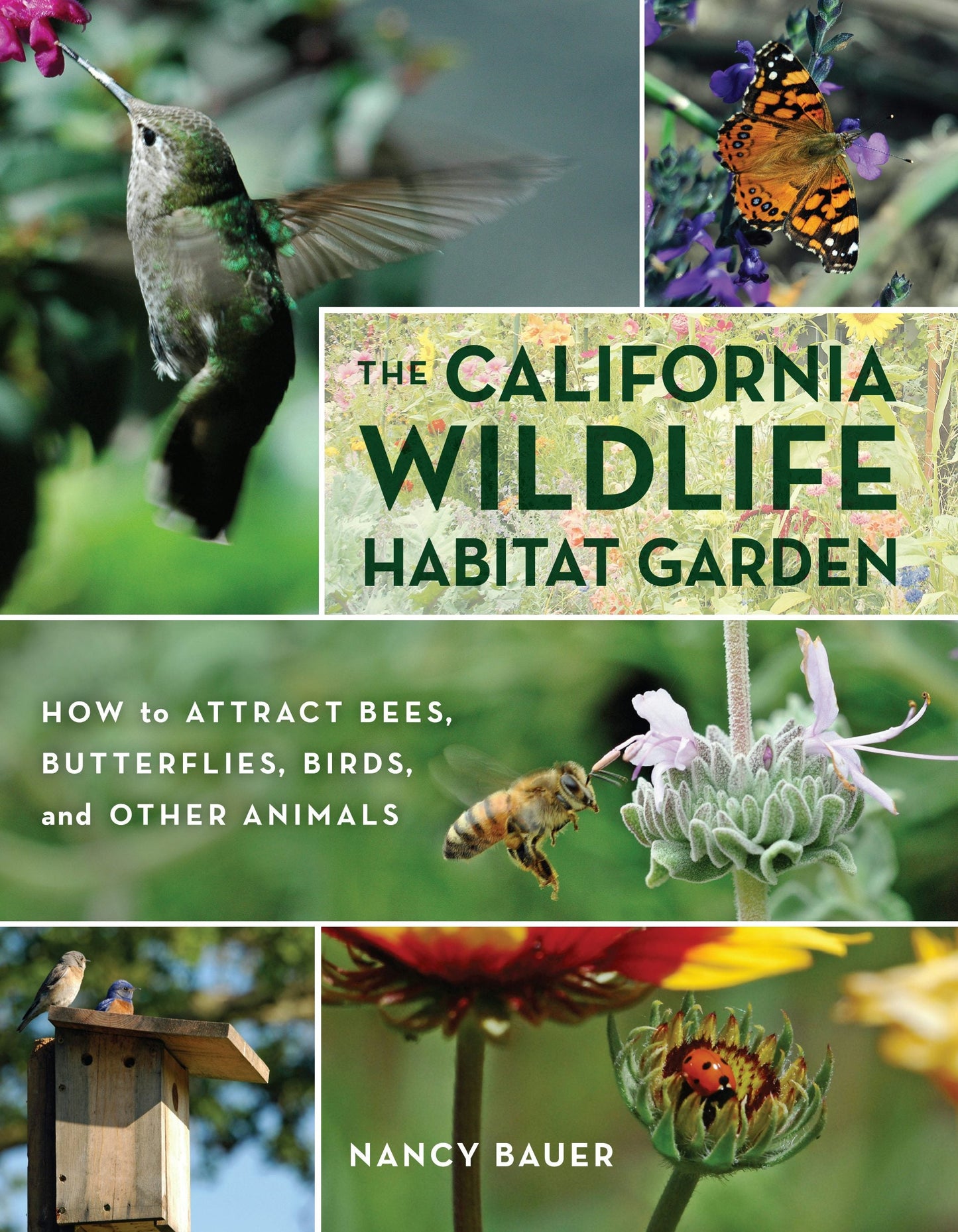 Book cover image for The California Wildlife Habitat Garden ISBN: 9780520953505