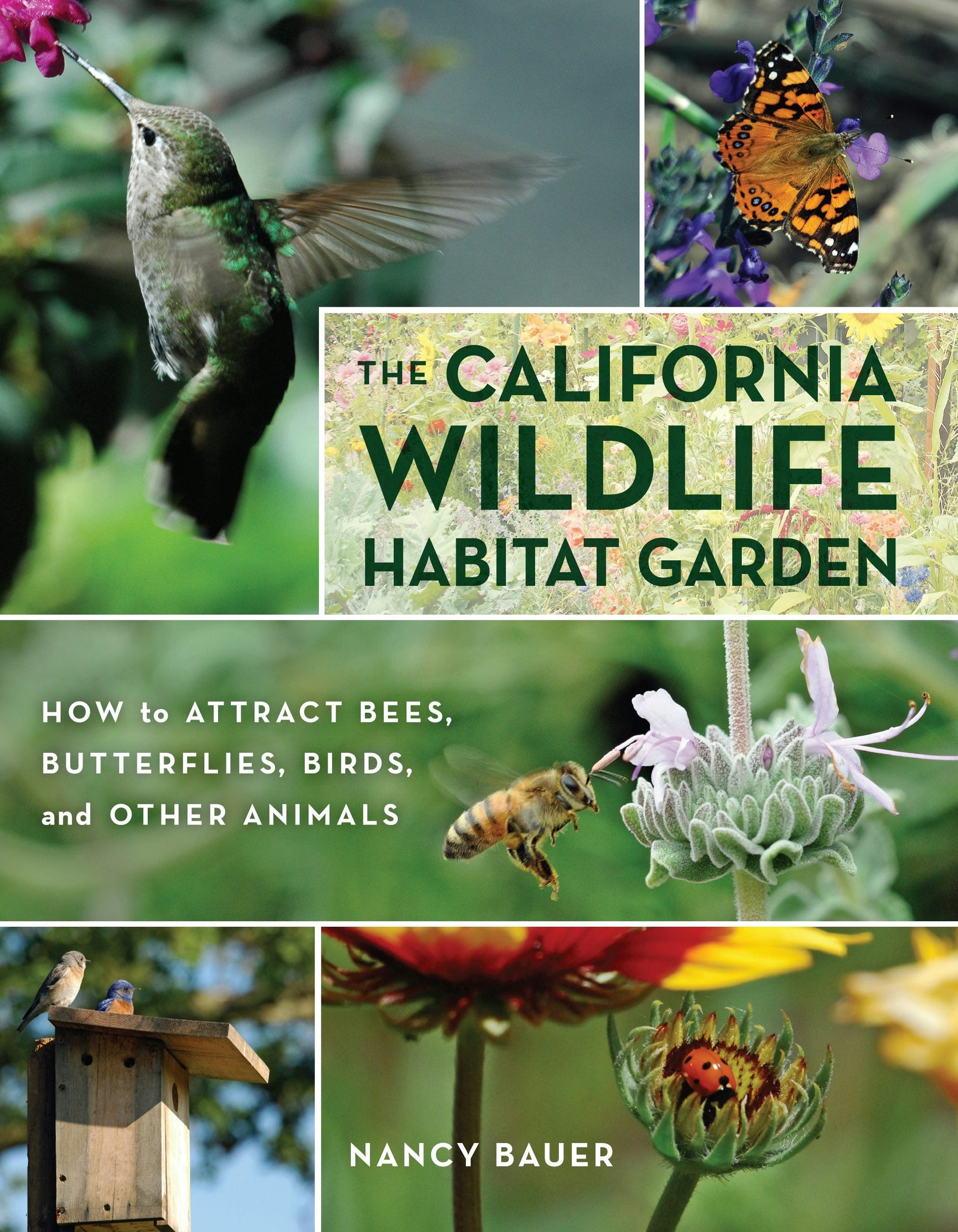 The California Wildlife Habitat Garden