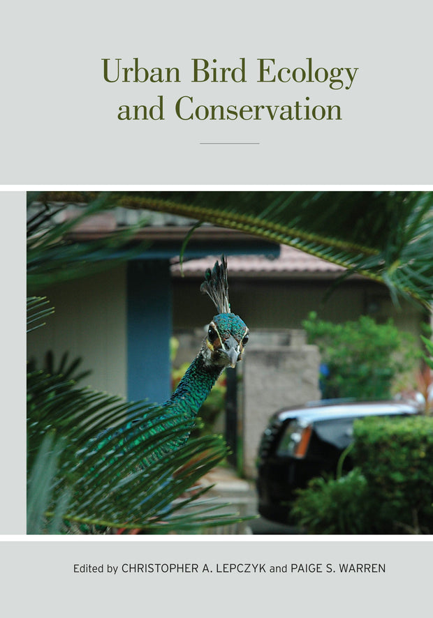 Cover image for Urban Bird Ecology and Conservation, isbn: 9780520953895