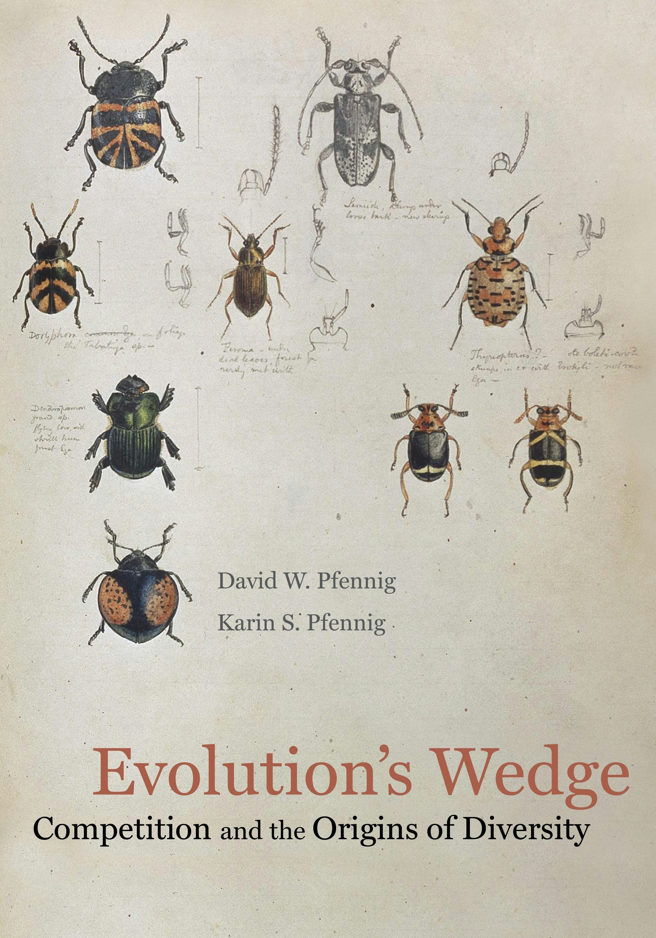 Book cover image for Evolution's Wedge ISBN: 9780520954045