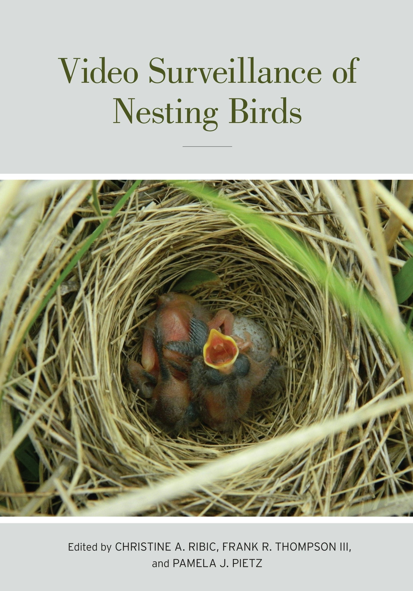 Book cover image for Video Surveillance of Nesting Birds ISBN: 9780520954090