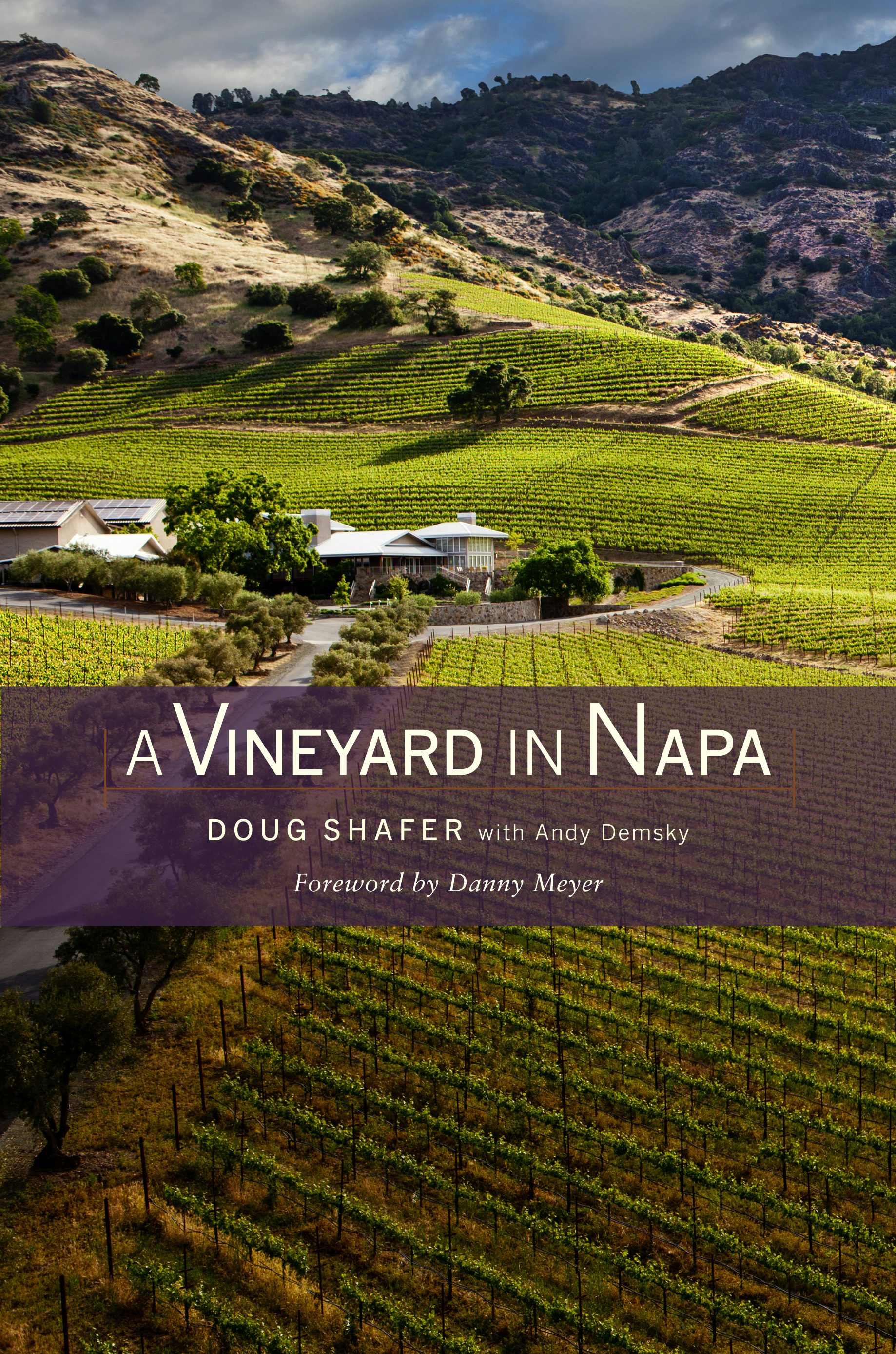 Book cover image for A Vineyard in Napa ISBN: 9780520954120