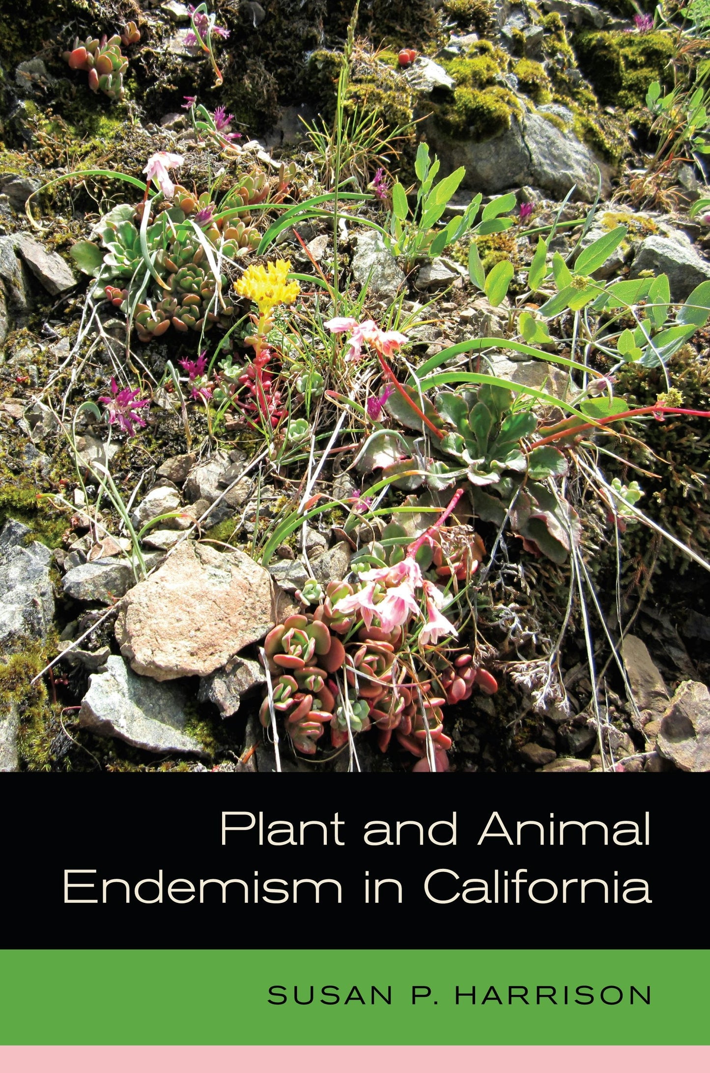 Book cover image for Plant and Animal Endemism in California ISBN: 9780520954731