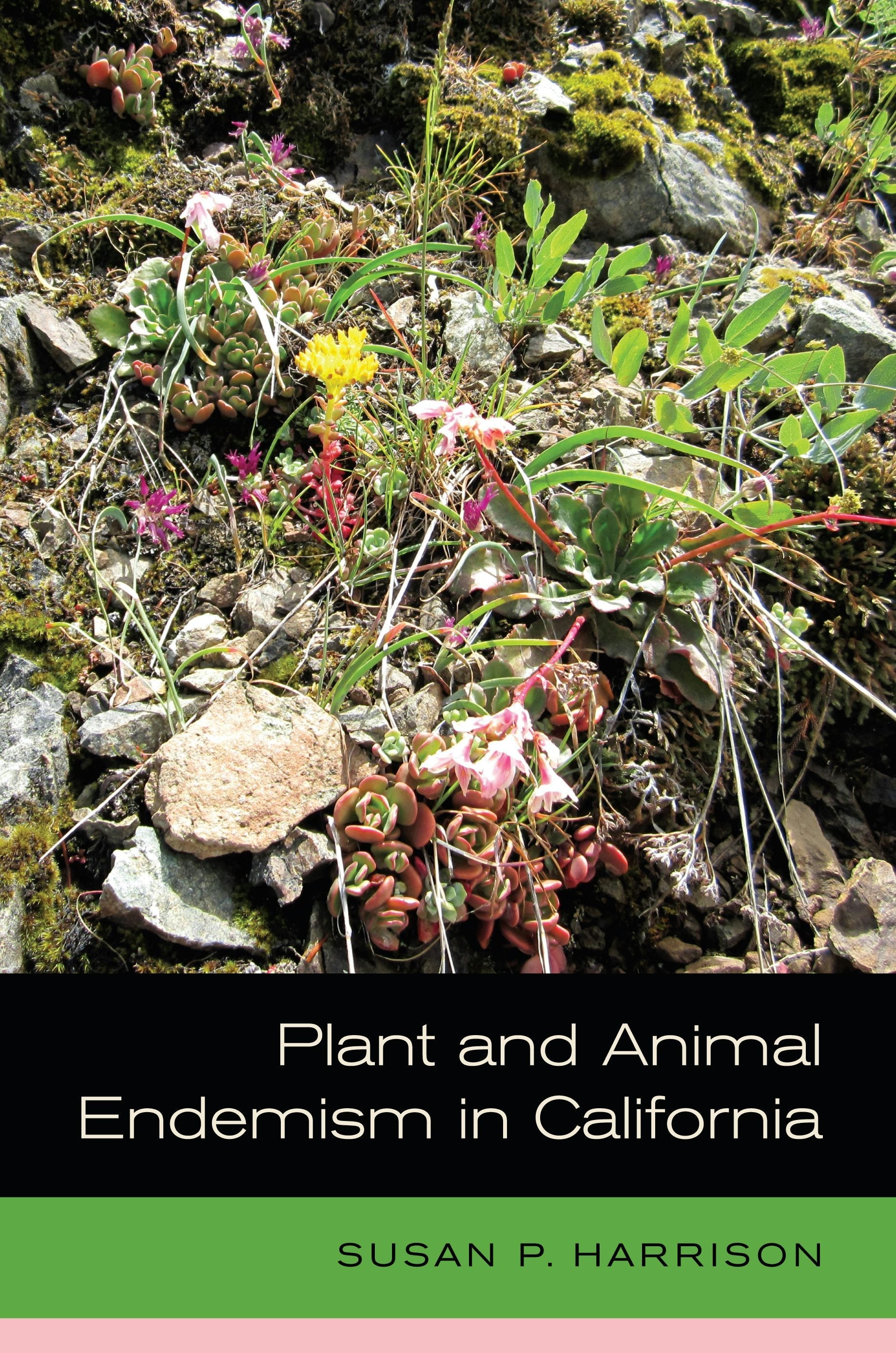 Book cover image for Plant and Animal Endemism in California ISBN: 9780520954731