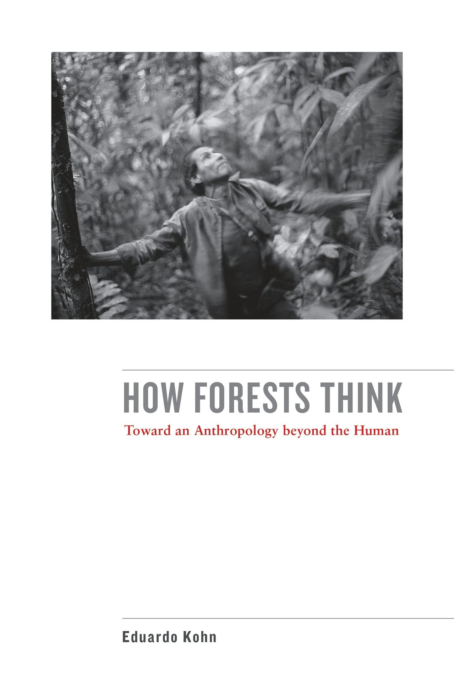 Book cover image for How Forests Think ISBN: 9780520956865