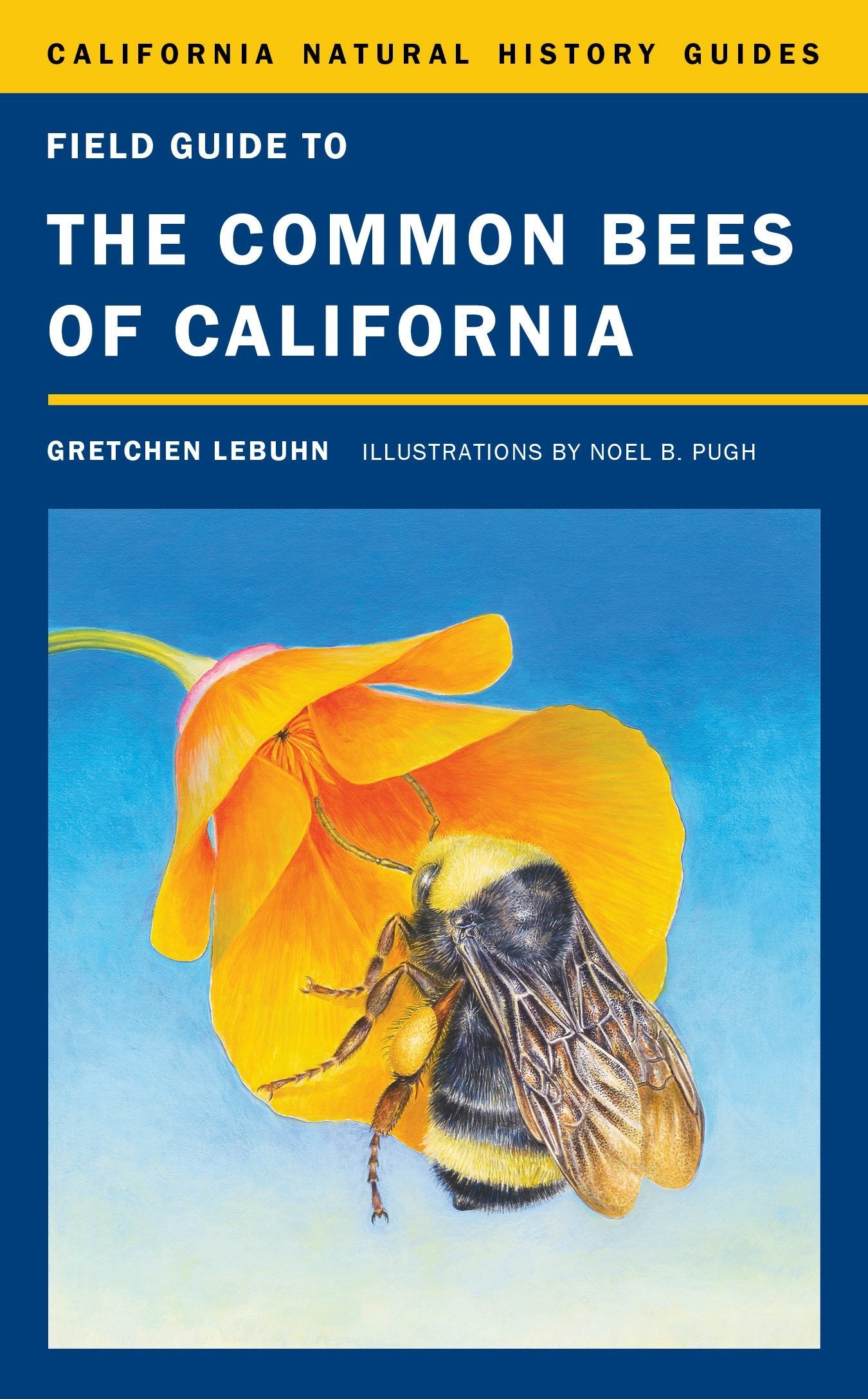 Book cover image for Field Guide to the Common Bees of California ISBN: 9780520956889