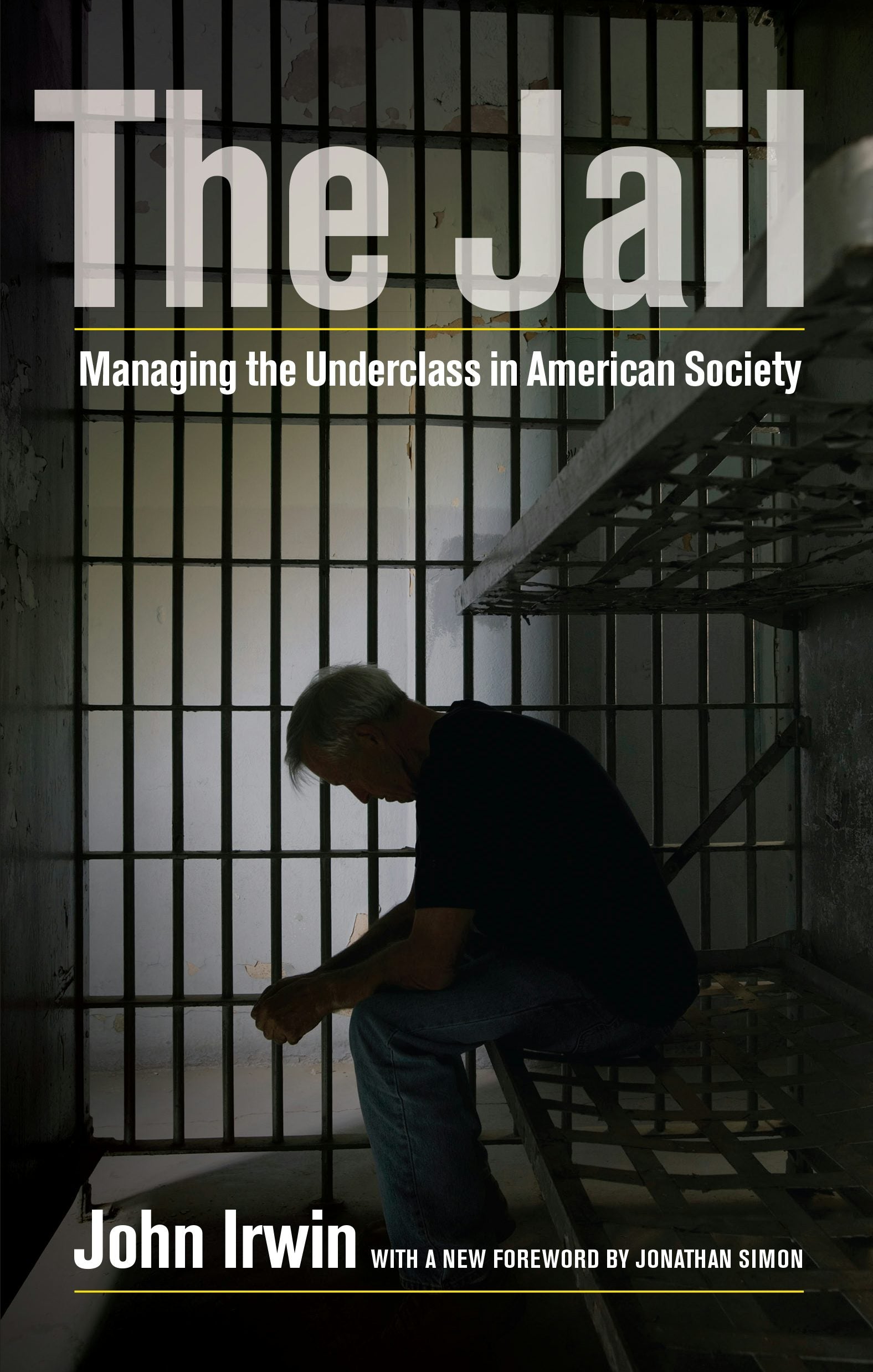 Book cover image for The Jail ISBN: 9780520957459