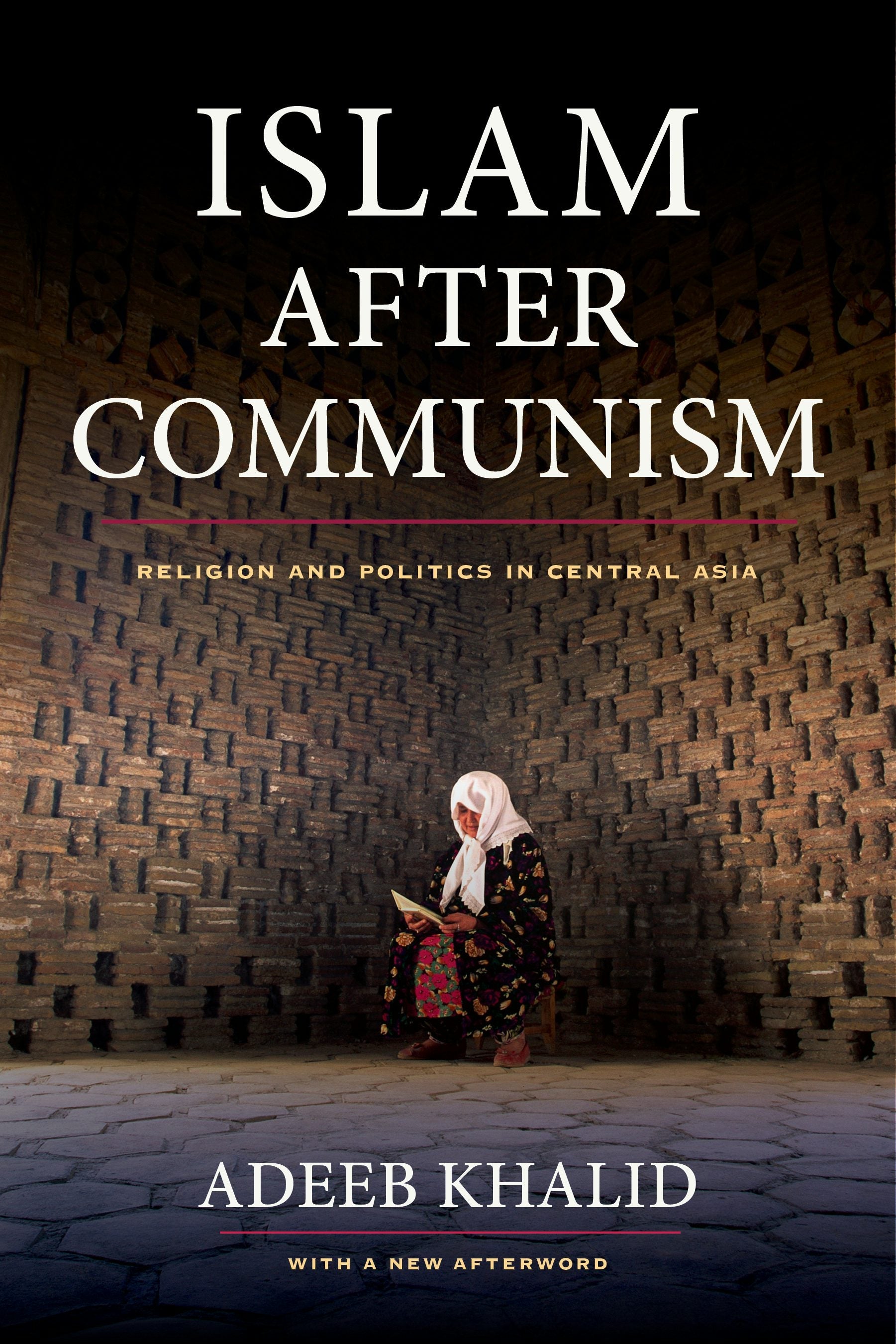 Book cover image for Islam after Communism ISBN: 9780520957862