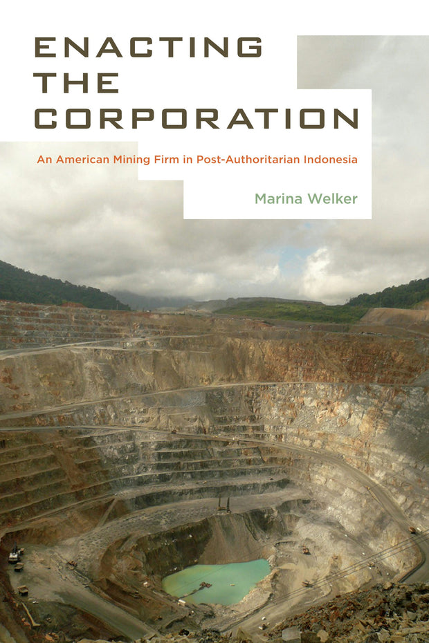 Cover image for Enacting the Corporation, isbn: 9780520957954
