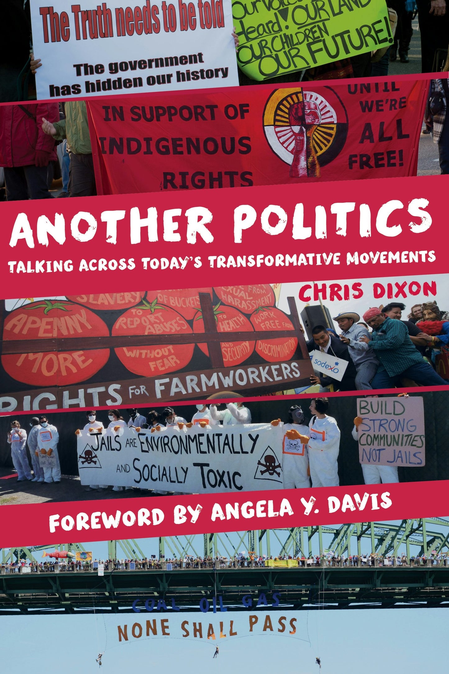 Book cover image for Another Politics ISBN: 9780520958845