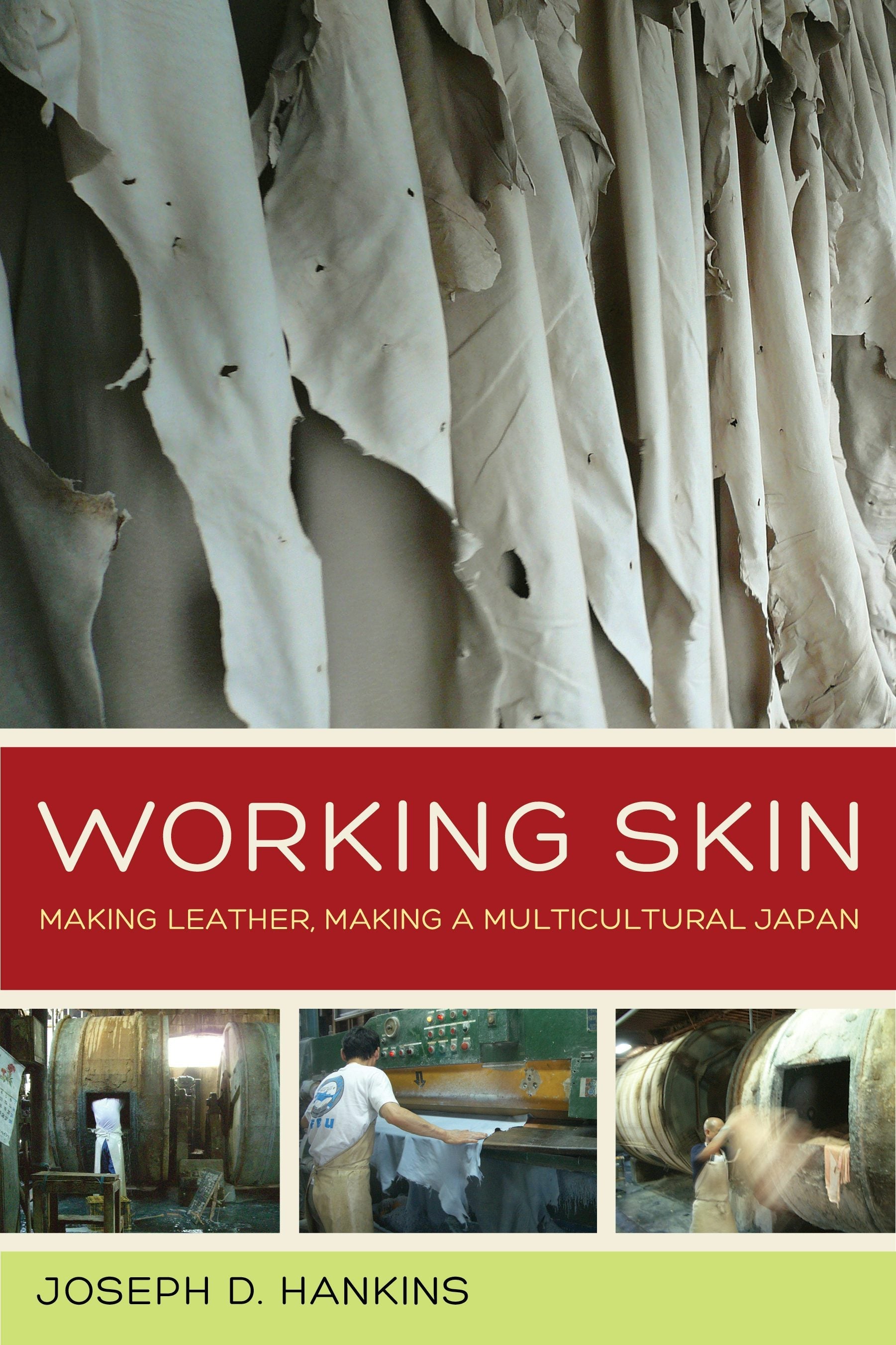 Book cover image for Working Skin ISBN: 9780520959163
