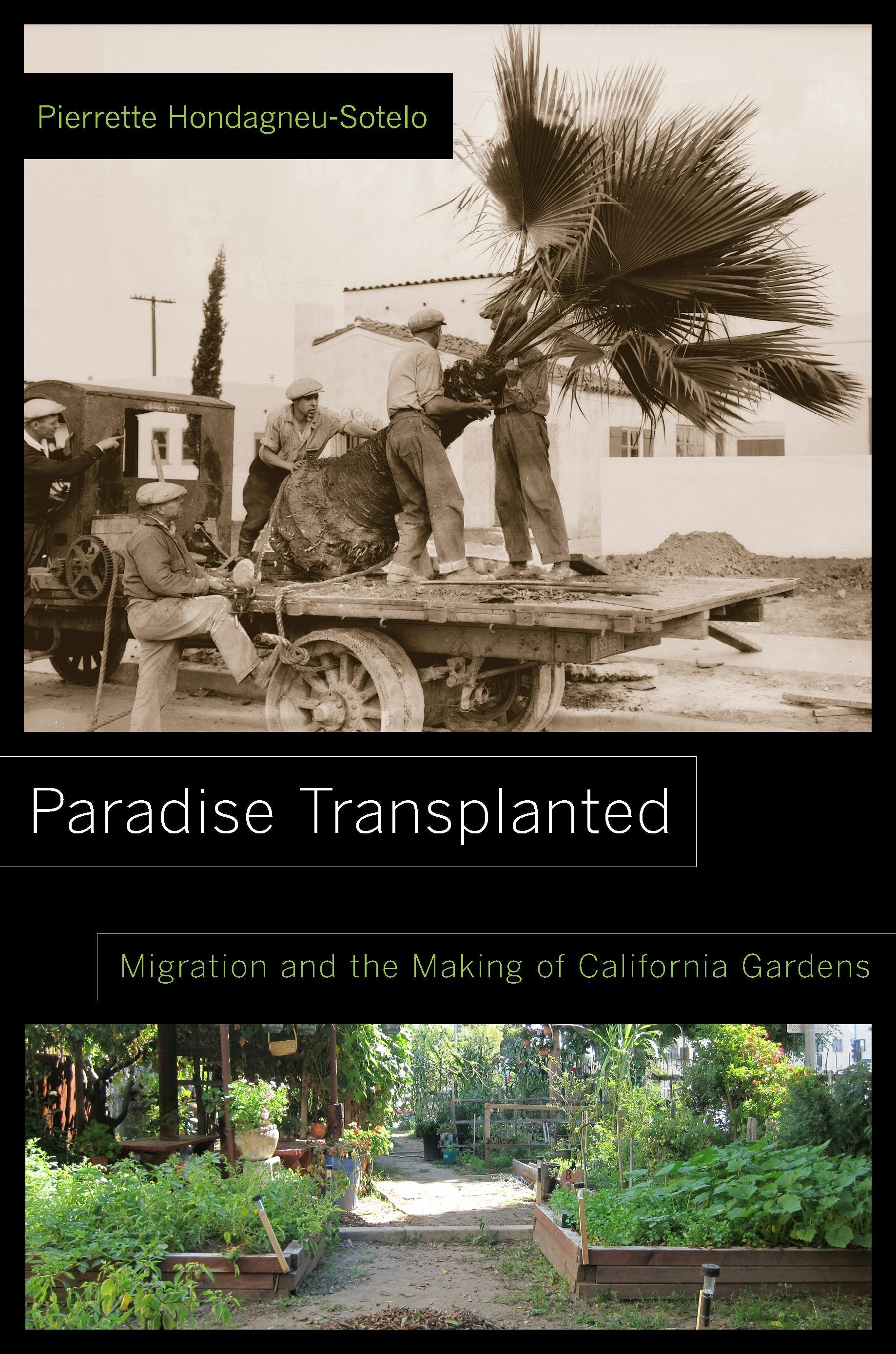 Book cover image for Paradise Transplanted ISBN: 9780520959217