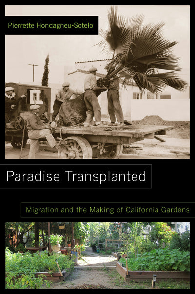 Cover image for Paradise Transplanted, isbn: 9780520959217