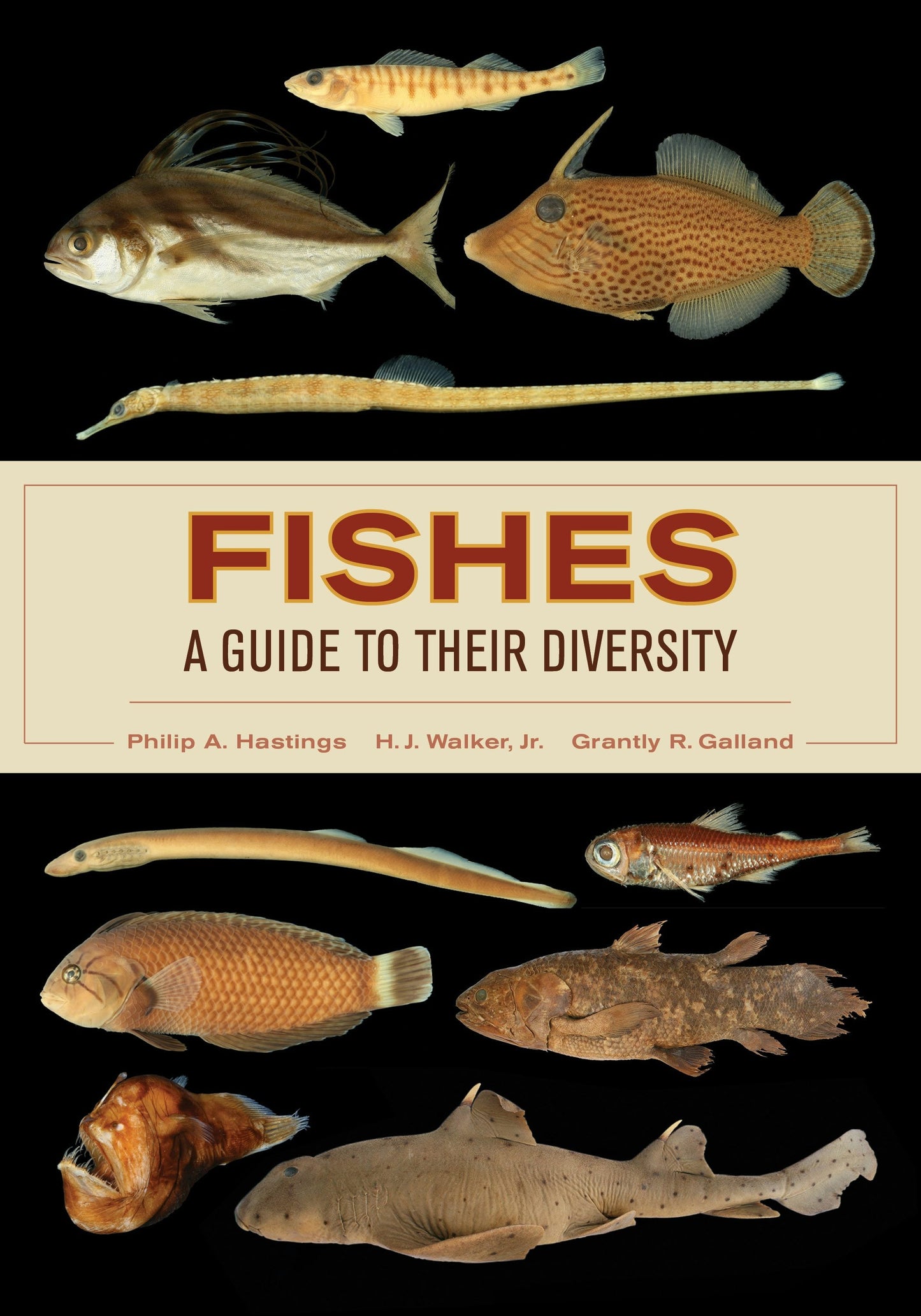 Book cover image for Fishes: A Guide to Their Diversity ISBN: 9780520959330