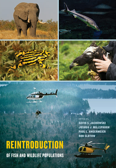 Cover image for Reintroduction of Fish and Wildlife Populations, isbn: 9780520960381