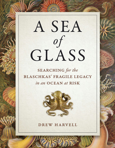Cover image for A Sea of Glass, isbn: 9780520961111