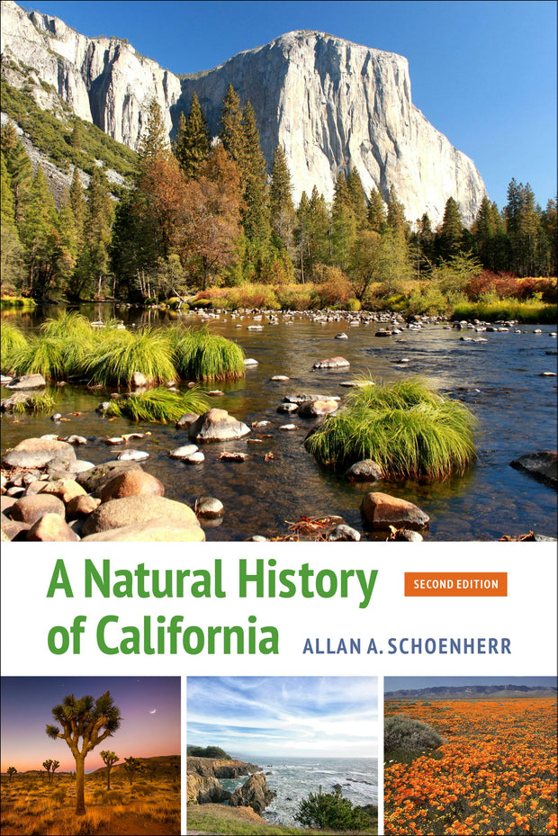 Cover image for A Natural History of California, isbn: 9780520964556