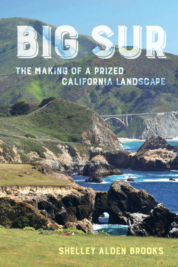Cover image for Big Sur, isbn: 9780520967540