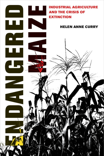 Cover image for Endangered Maize, isbn: 9780520973794