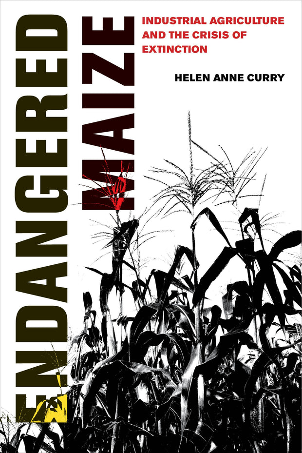 Cover image for Endangered Maize, isbn: 9780520973794