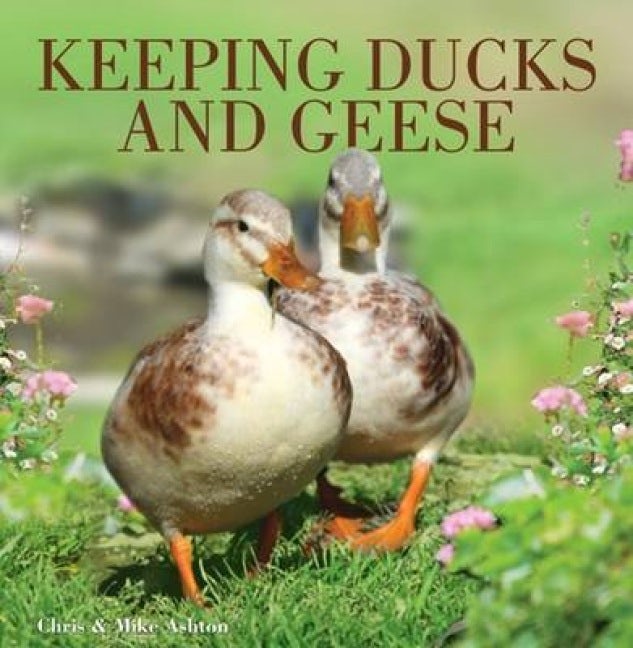 Book cover image for Keeping Ducks and Geese ISBN: 9780715331576