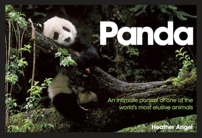 Cover image for Panda, isbn: 9780715335512