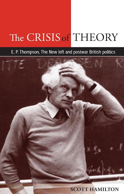 Book cover image for The Crisis of Theory ISBN: 9780719084355