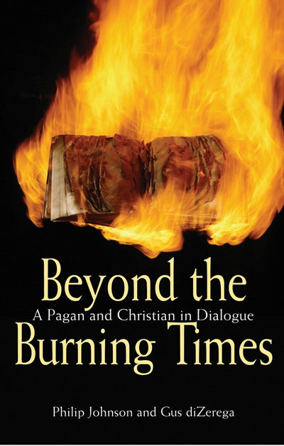 Cover image for Beyond the Burning Times, isbn: 9780745952727