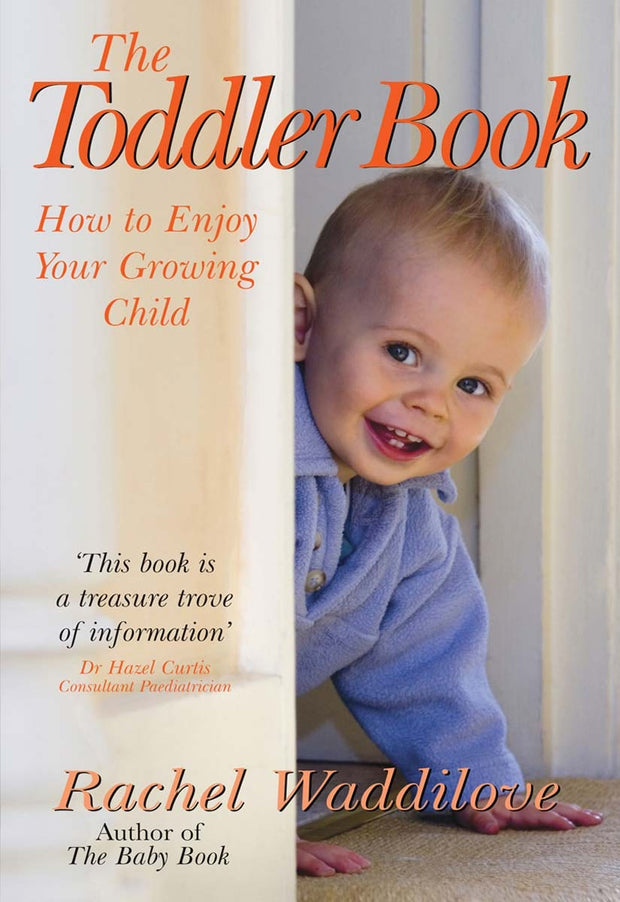 Cover image for The Toddler Book, isbn: 9780745952963