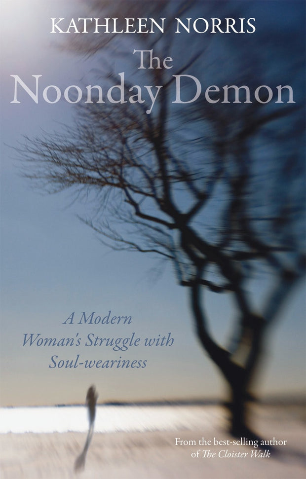 Cover image for The Noonday Demon, isbn: 9780745953663