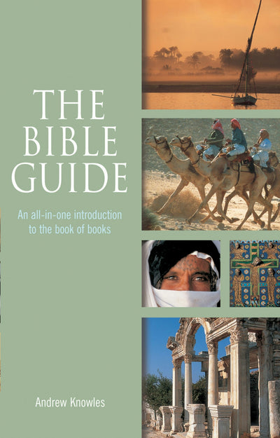 Cover image for The Bible Guide, isbn: 9780745957401