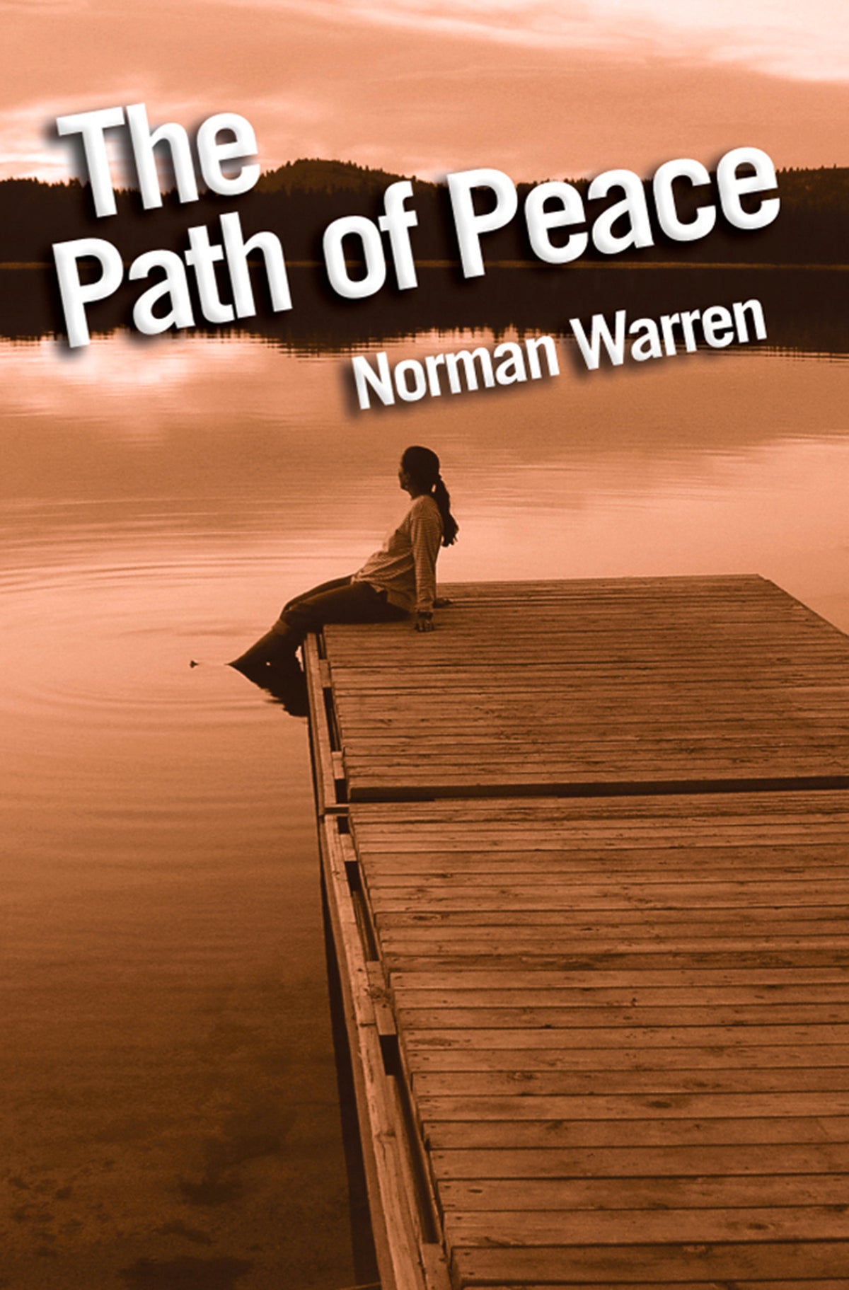 Cover image for The Path of Peace ISBN 9780745957463