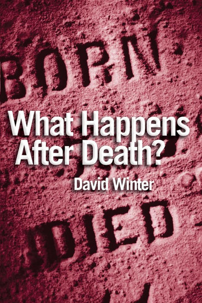 Cover image for What Happens After Death?, isbn: 9780745957494