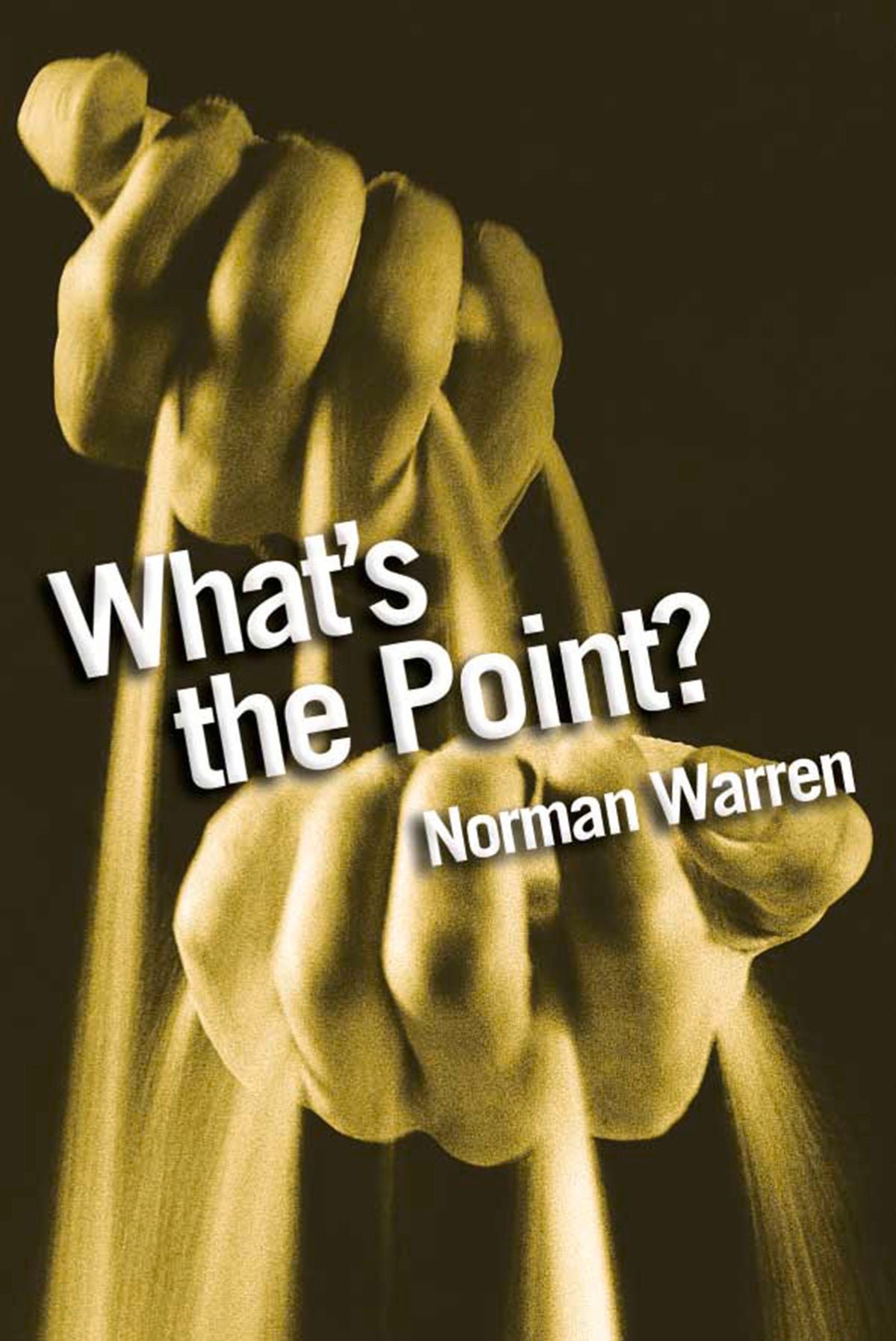 Cover image for What's The Point? ISBN 9780745957500