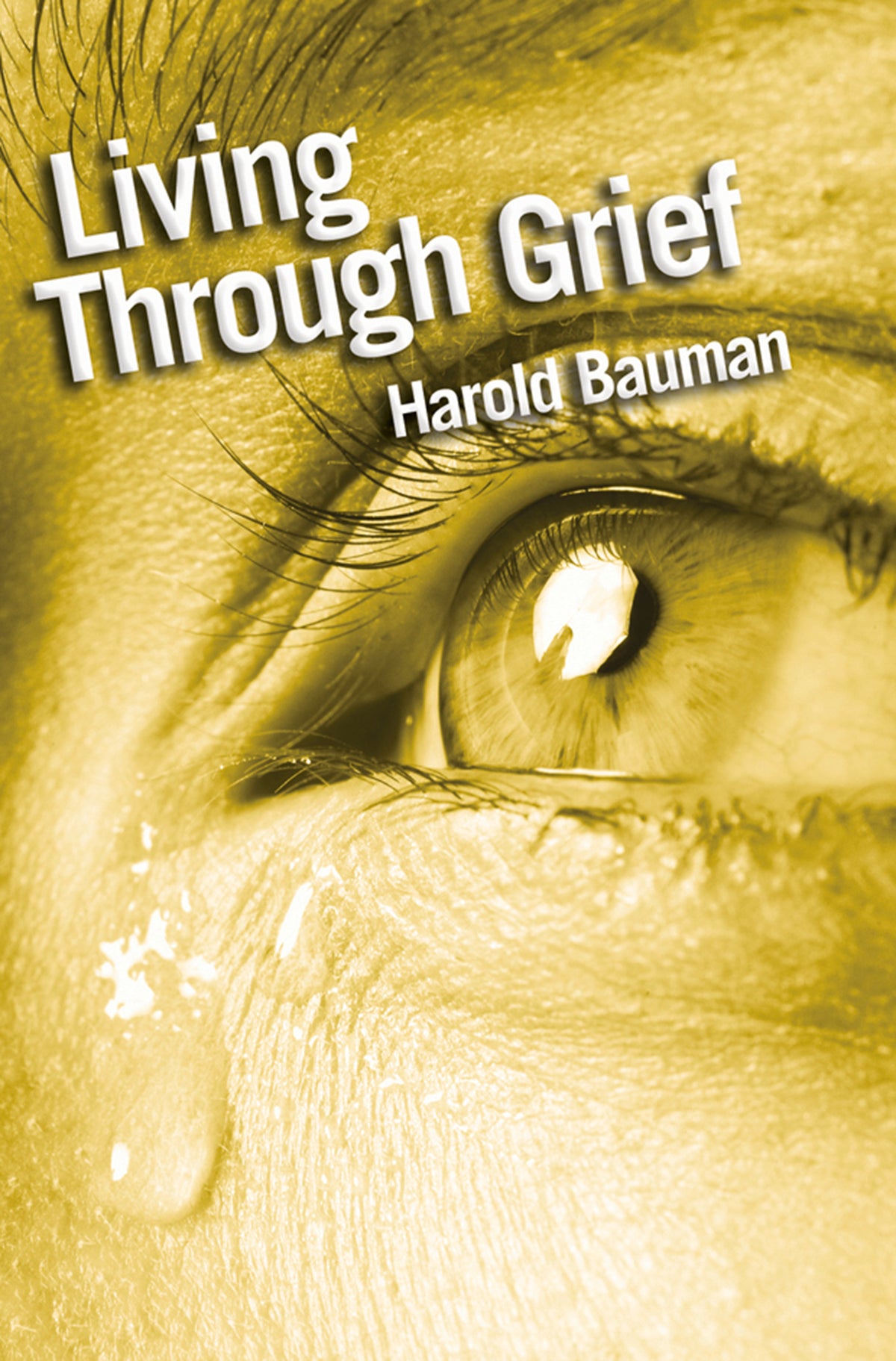 Cover image for Living Through Grief ISBN 9780745958163