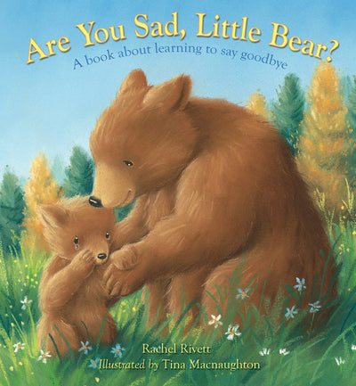 Cover image for Are You Sad, Little Bear?, isbn: 9780745964300