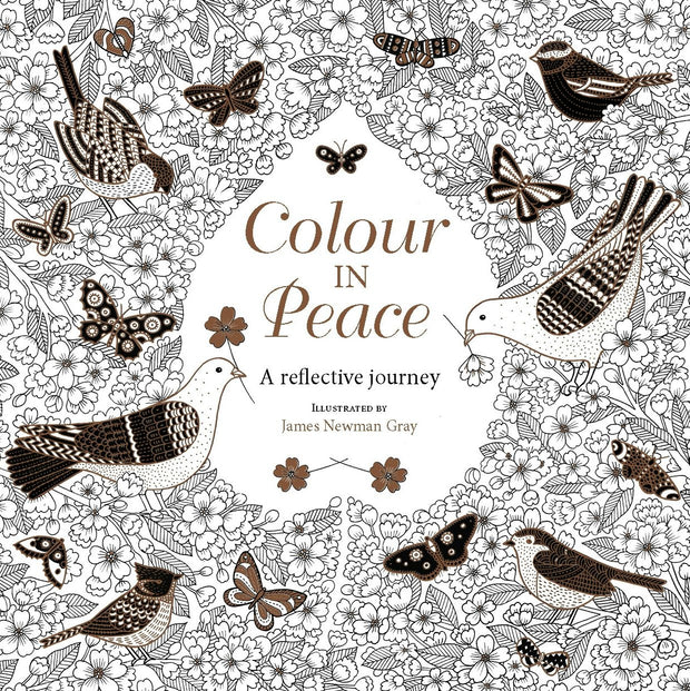 Cover image for Colour in Peace, isbn: 9780745968797