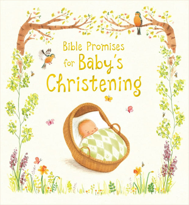 Cover image for Bible Promises for Baby's Christening, isbn: 9780745976204