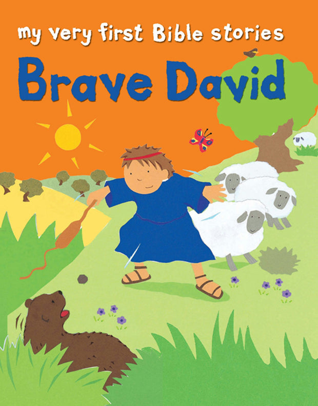 Cover image for Brave David, isbn: 9780745977768