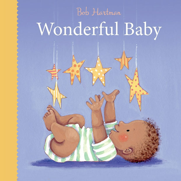 Cover image for Wonderful Baby, isbn: 9780745977911